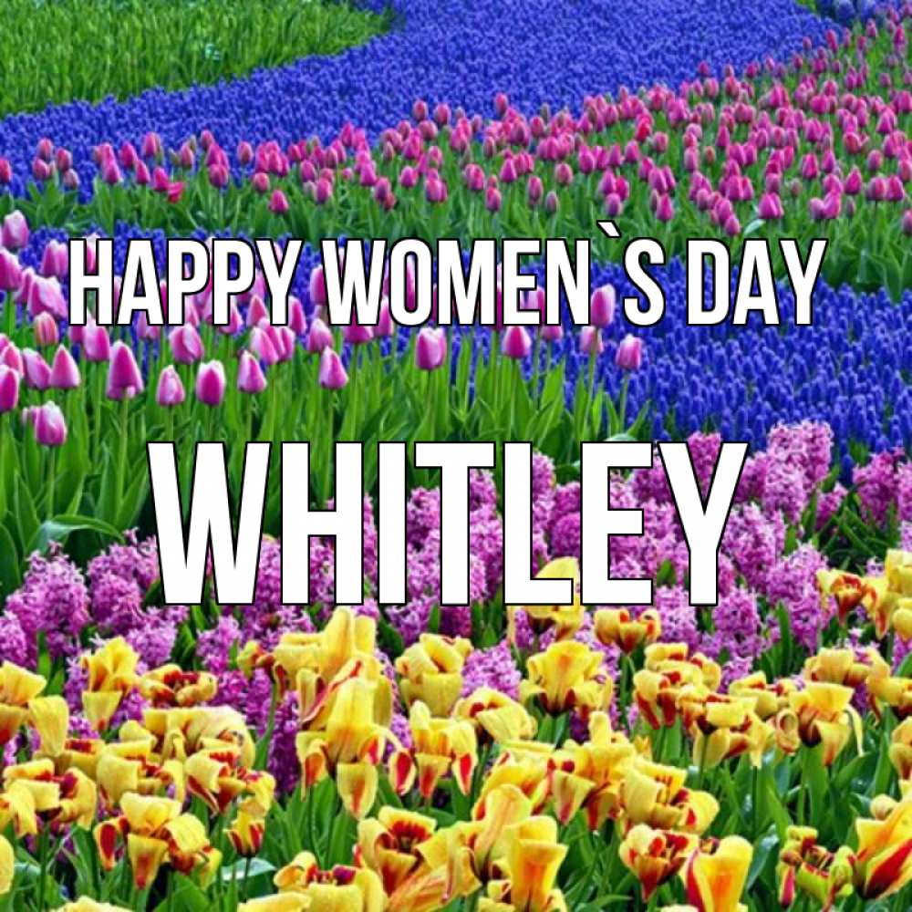 Greetings card с именем, Whitley happy women`s day цветы Greetings with text for free download 